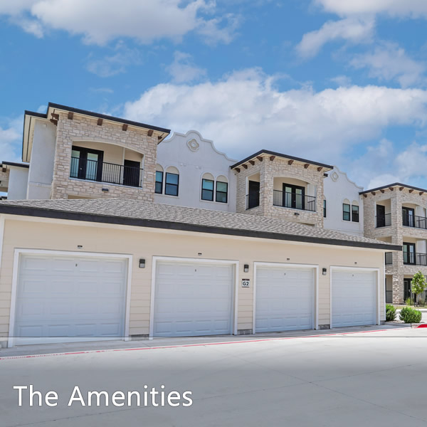 Features & Amenities